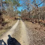Hébergement de vacances Au Coeur De La Nature Les Cocottes Saint-Vincent-Jalmoutiers