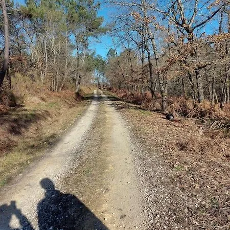 بيت للعطل Au Coeur De La Nature Les Cocottes Saint-Vincent-Jalmoutiers