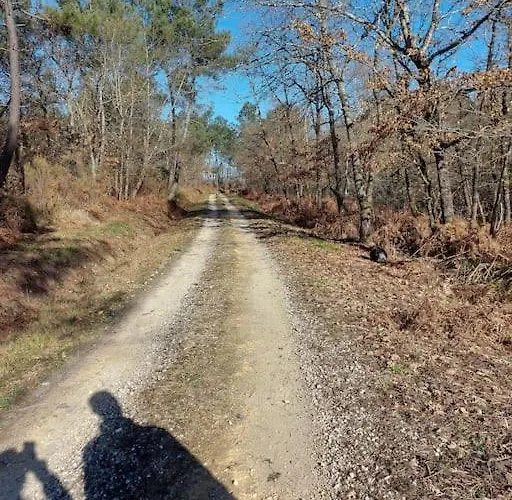 בית נופש Au Coeur De La Nature Les Cocottes Saint-Vincent-Jalmoutiers